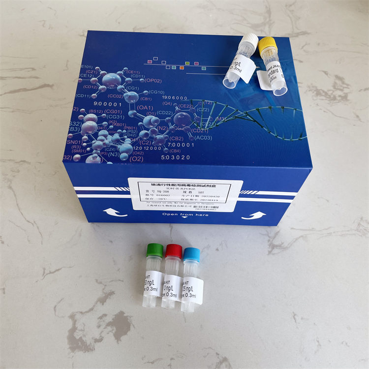 人Delta-like ligand 1(DLL1）ELISA试剂盒