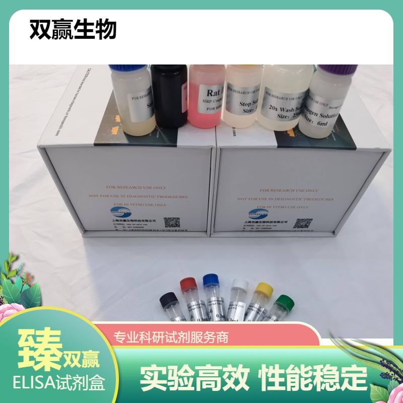 小鼠髓鞘碱性蛋白(MBP)ELISA试剂盒