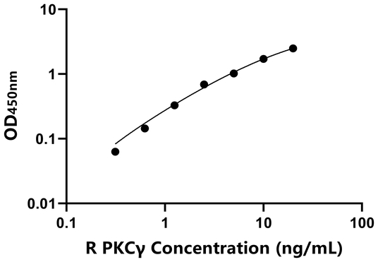 PKCγ ELISA KIT / 大鼠蛋白激酶Cγ ELISA试剂盒  