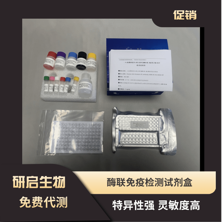 人L-精氨酸(L-Arg）ELISA试剂盒