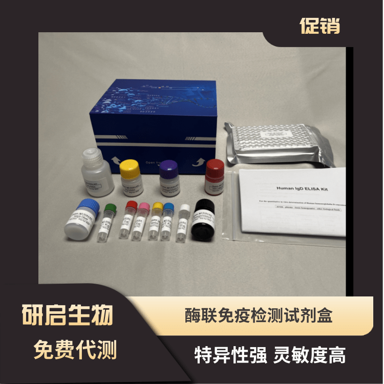 人ZBED3(ZBED3）ELISA试剂盒