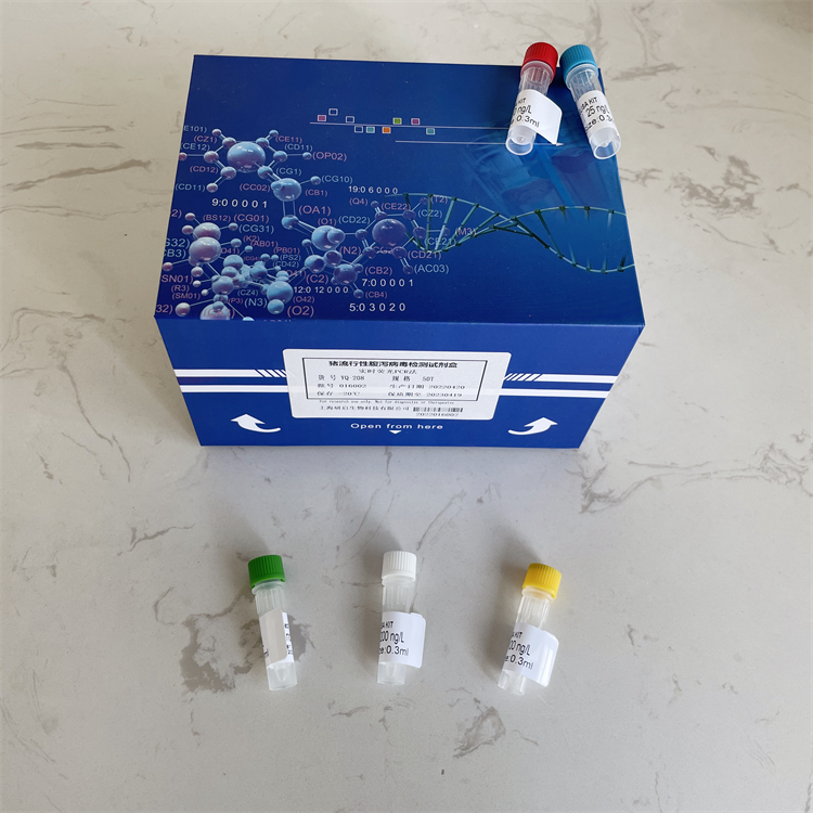 人α-平滑肌肌动蛋白(α-SMA）ELISA试剂盒