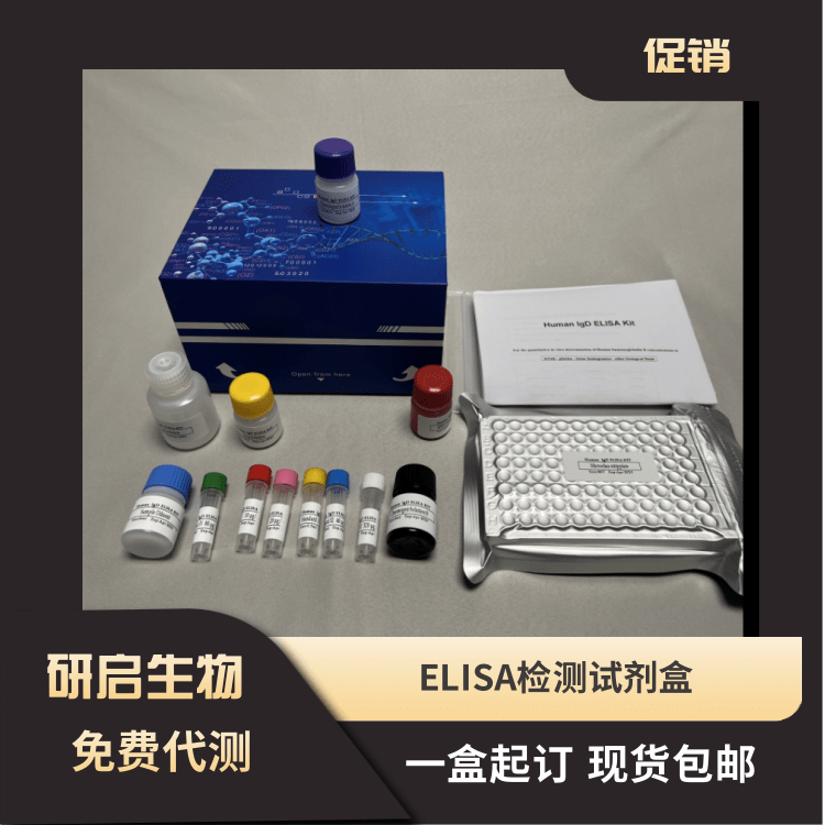人γ-谷氨酰转肽酶(γ-GT）ELISA试剂盒