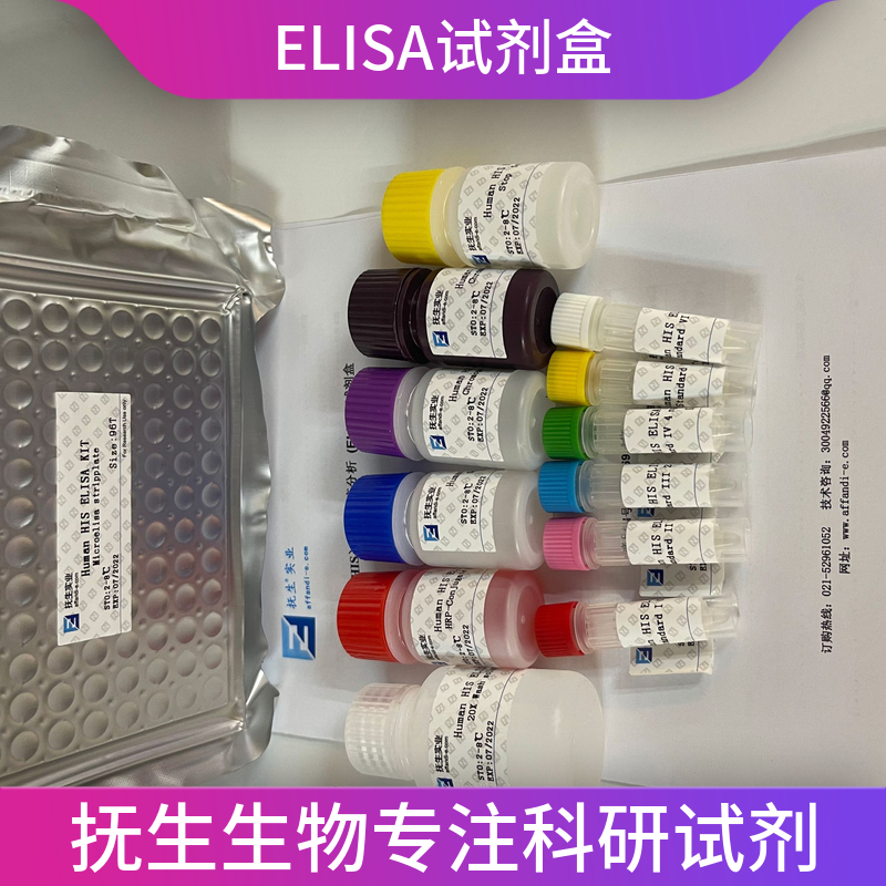 小鼠白细胞介素12p70(IL-12p70)ELISA试剂盒