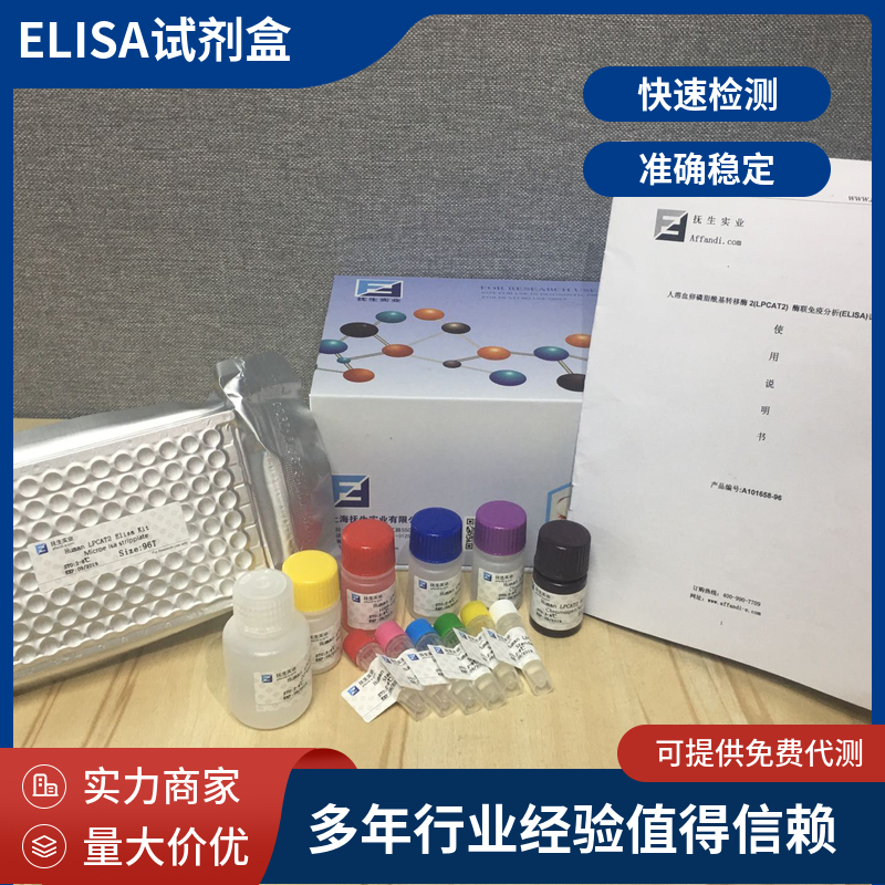 人上皮中性粒细胞活化肽78(ENA-78/CXCL5)ELISA试剂盒