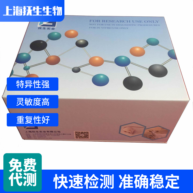 人上皮中性粒细胞活化肽78(ENA-78/CXCL5)ELISA试剂盒