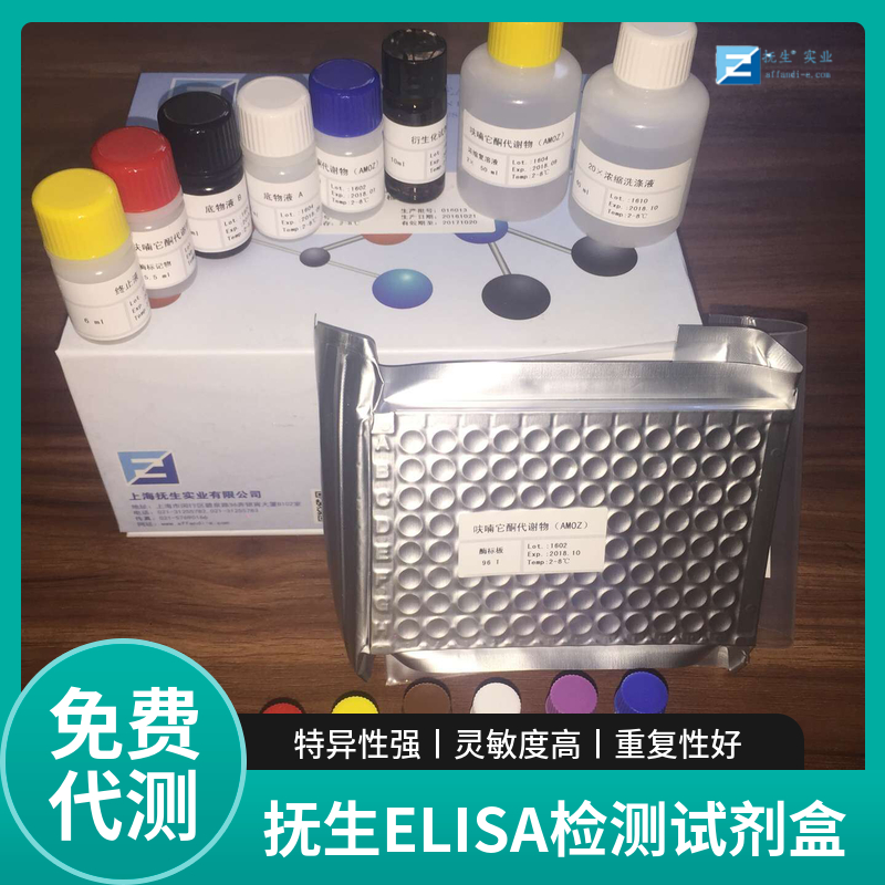 小鼠白细胞介素6(IL-6)ELISA试剂盒