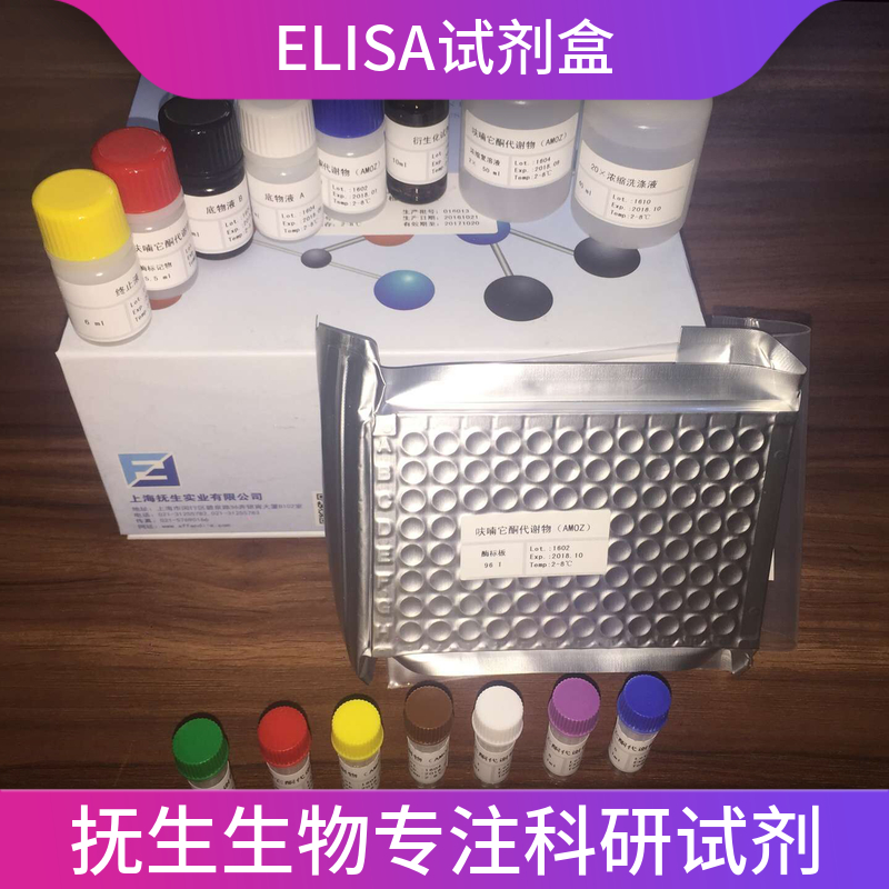 人纤溶酶原激活物抑制因子1(PAI-1)elisa试剂盒