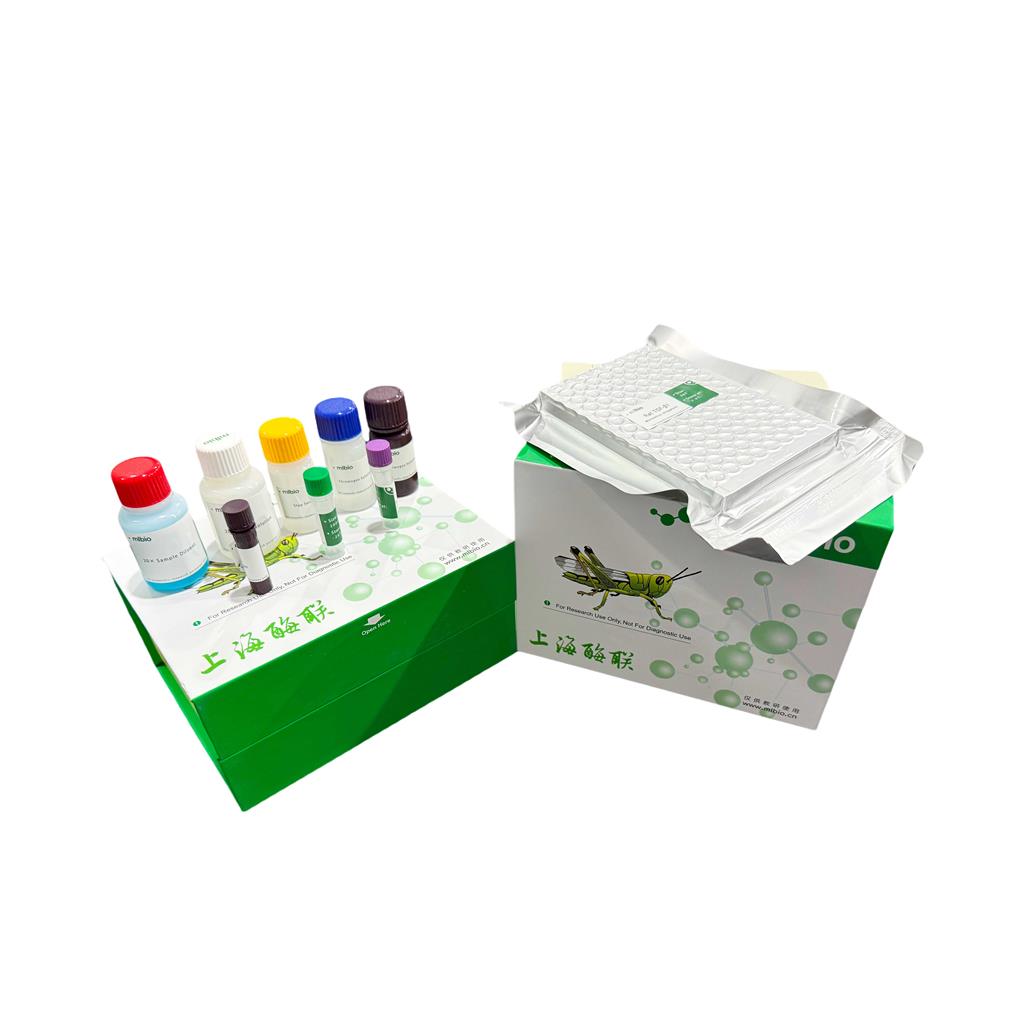 EMILIN1 ELISA KIT / 大鼠弹性蛋白微原纤维界面因子1 ELISA试剂盒  