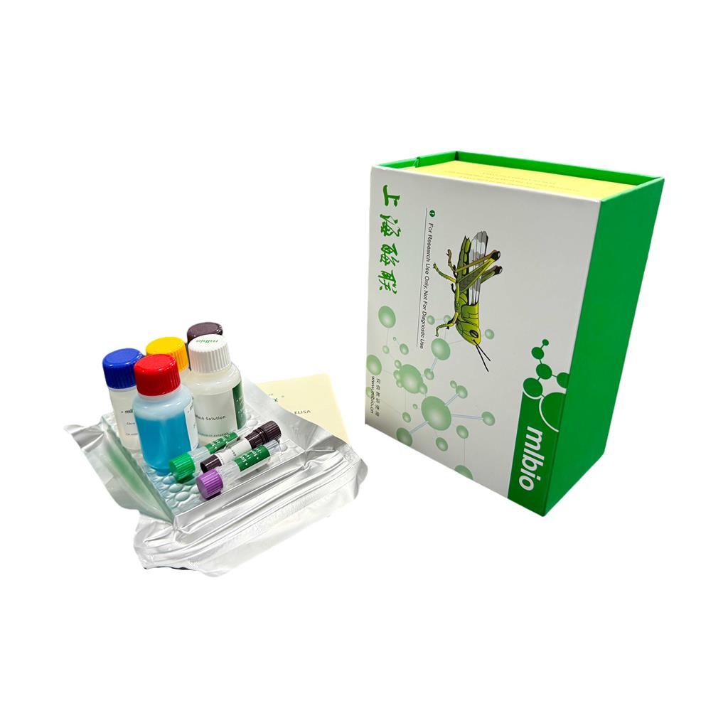 MYH6 ELISA KIT / 大鼠肌球蛋白重链6 ELISA试剂盒  