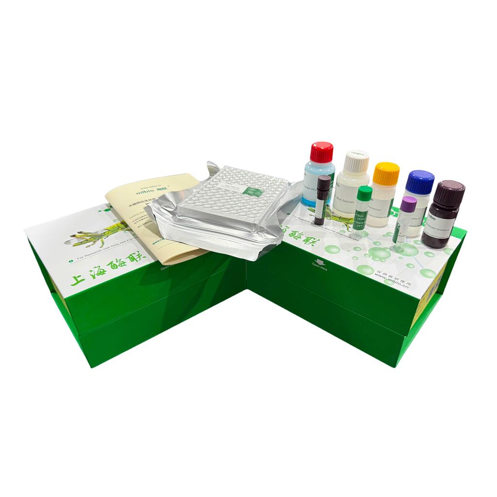 MYH6 ELISA KIT / 大鼠肌球蛋白重链6 ELISA试剂盒  