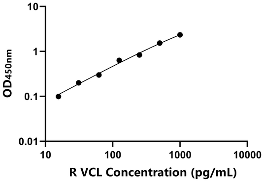 VCL ELISA KIT / 大鼠纽蛋白 ELISA试剂盒