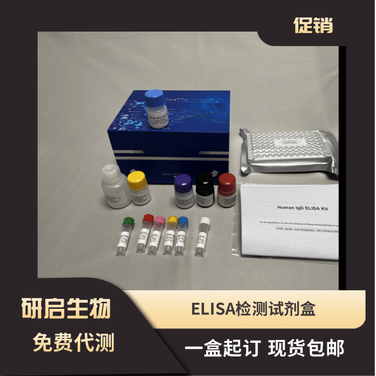 人白介素2(IL-2）ELISA试剂盒