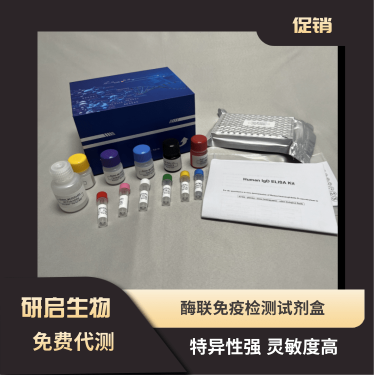 人白介素2(IL-2）ELISA试剂盒