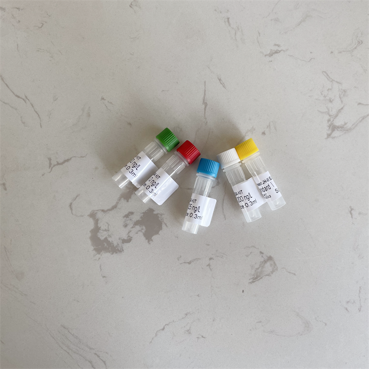 人白介素28A(IL-28A）ELISA试剂盒