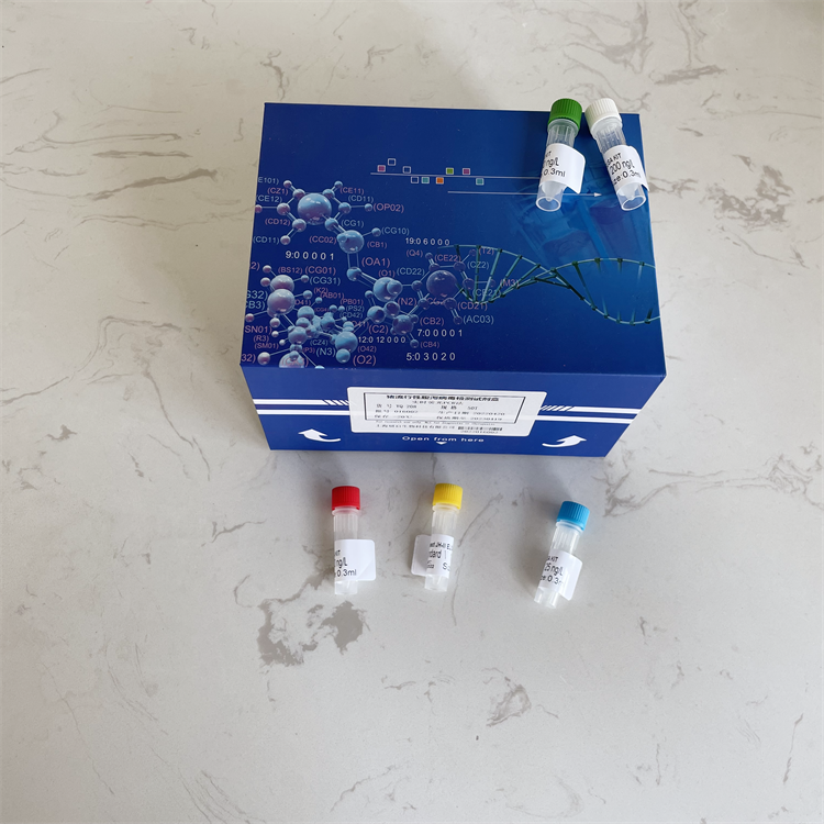 人白介素32γ(IL-32γ）ELISA试剂盒