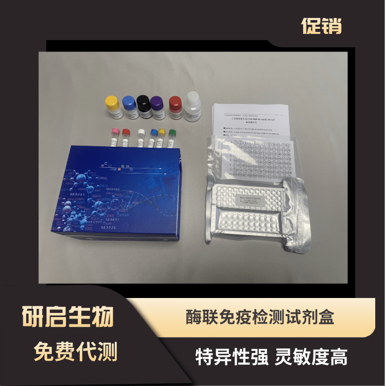 人白介素5(IL-5）ELISA试剂盒