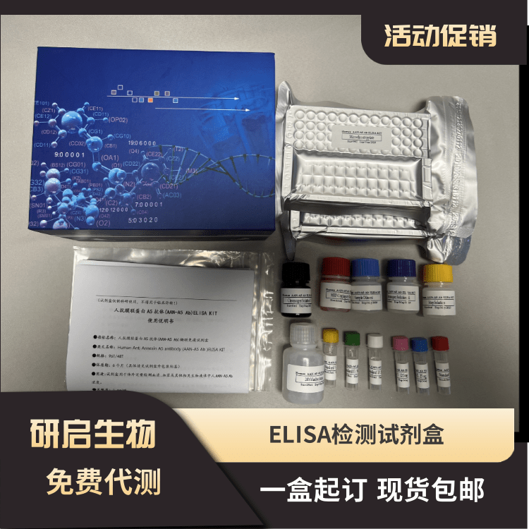 人白介素8(IL-8）ELISA试剂盒