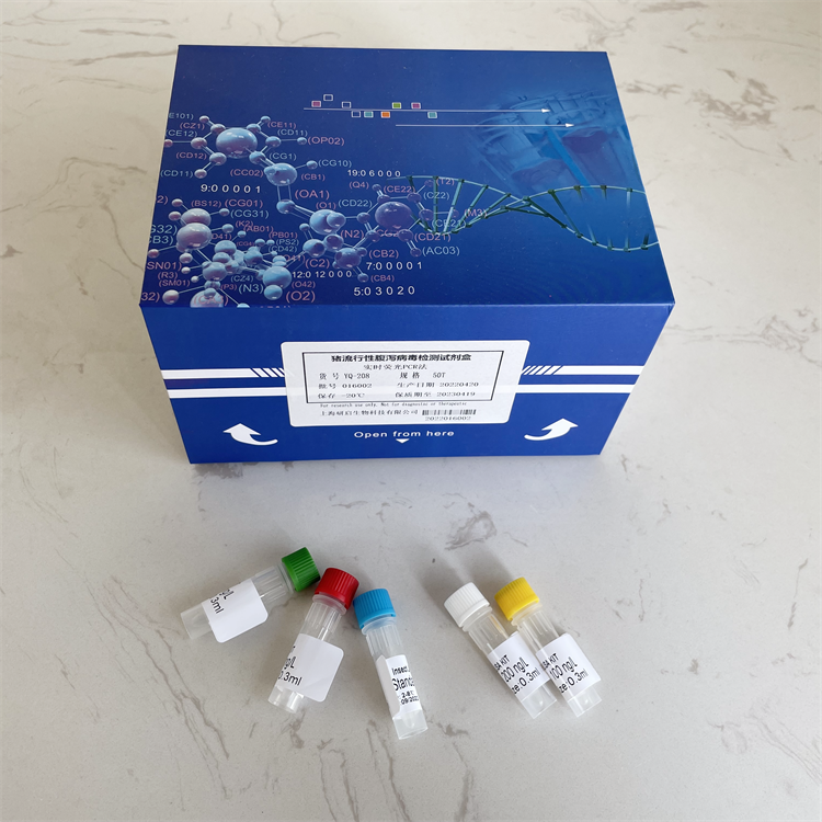 人白介素9(IL-9）ELISA试剂盒