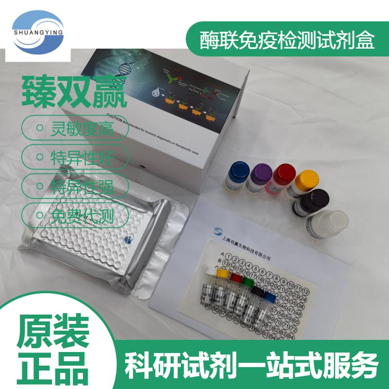 小鼠白细胞活化黏附因子(ALCAM)ELISA试剂盒