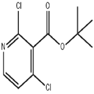 2,4-二氯烟酸叔丁酯