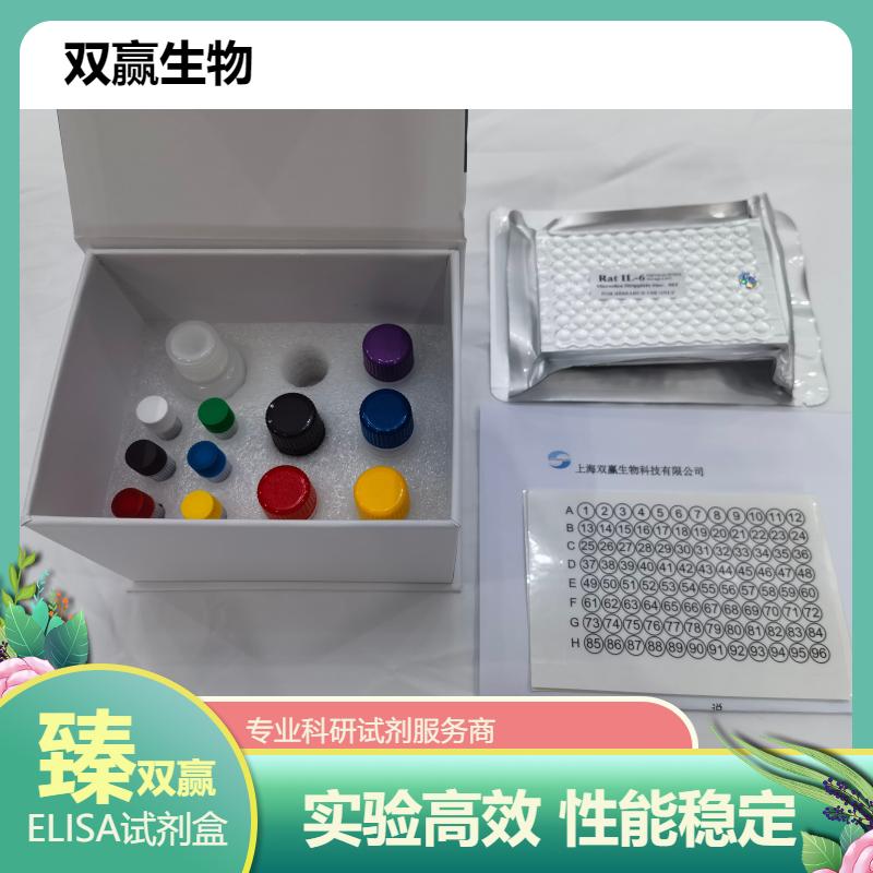 小鼠细胞色素P450氧化还原酶(CPR)ELISA试剂盒