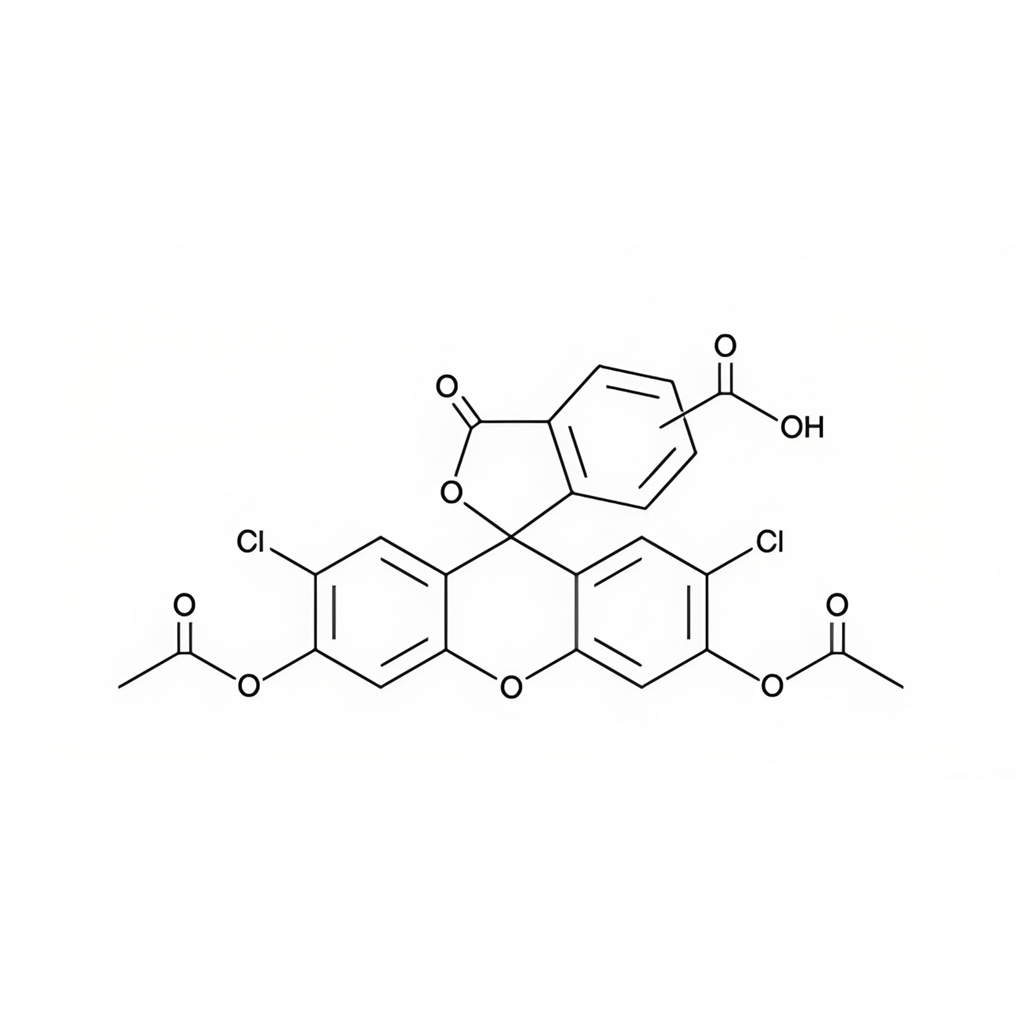 127770-45-0，5-(6)-CDCFDA