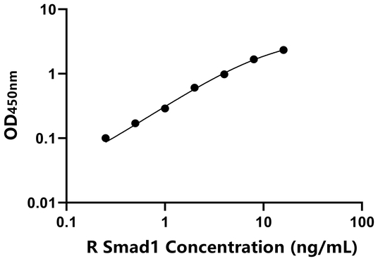 Smad1 ELISA KIT / 大鼠Smad同源物1 ELISA试剂盒  