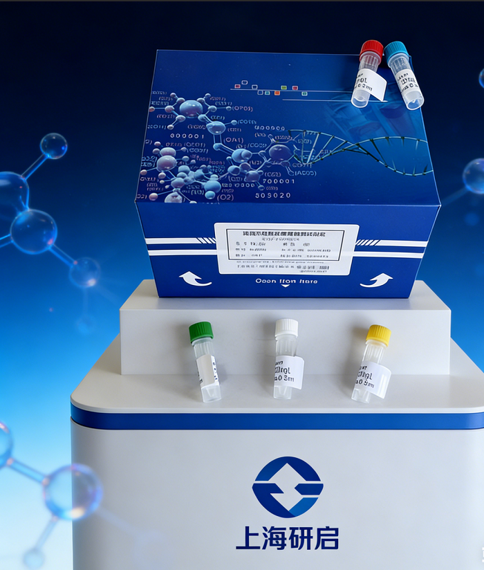人低密度脂蛋白受体相关蛋白1(LRP1）ELISA试剂盒