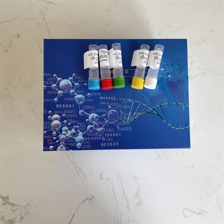 人多环芳烃-DNA加合物(PAHs-DNA）ELISA试剂盒