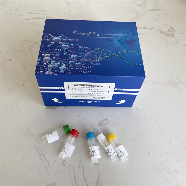 人泛连接蛋白1(PANX1）ELISA试剂盒