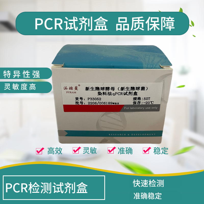 人免疫缺陷病毒II型B组前病毒染料法荧光定量PCR试剂盒