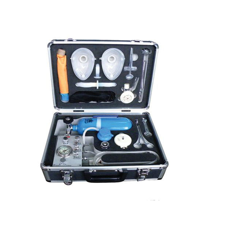 CCL-1智能型残存瓦斯含量测定仪