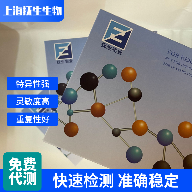 小鼠甘露糖受体C1(MRC1)ELISA试剂盒