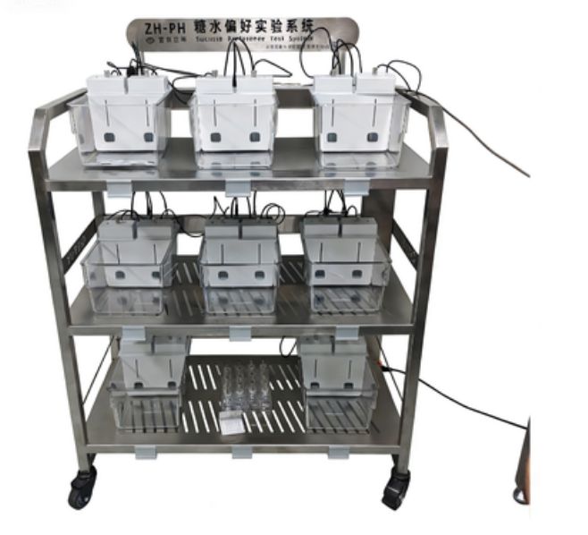 露，大小鼠糖水偏爱实验系统 糖水偏好实验系统 小鼠糖水偏好实验系统 大鼠糖水偏好实验系统
