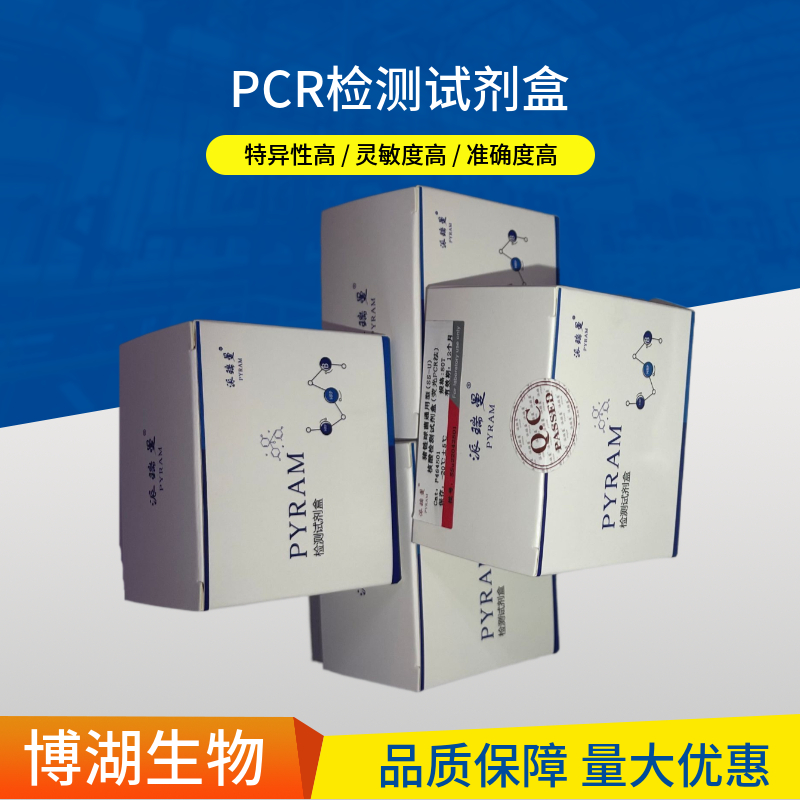 田鼠分枝杆菌染料法荧光定量PCR试剂盒