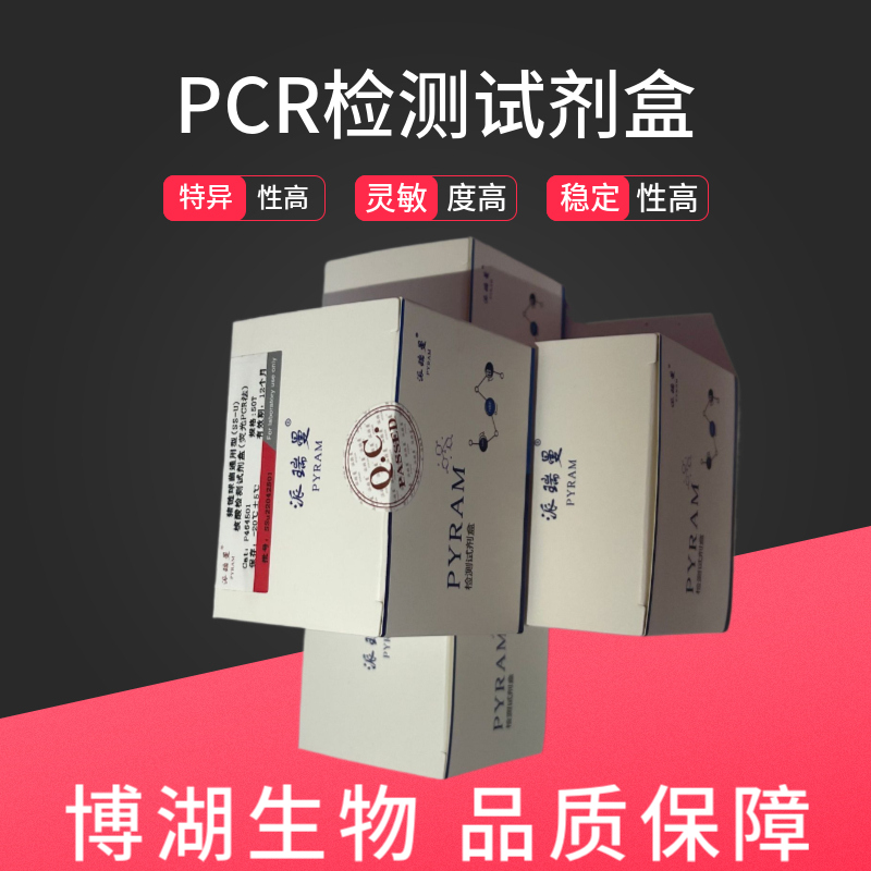 耐甲氧西林金黄色葡萄球菌染料法荧光定量PCR试剂盒