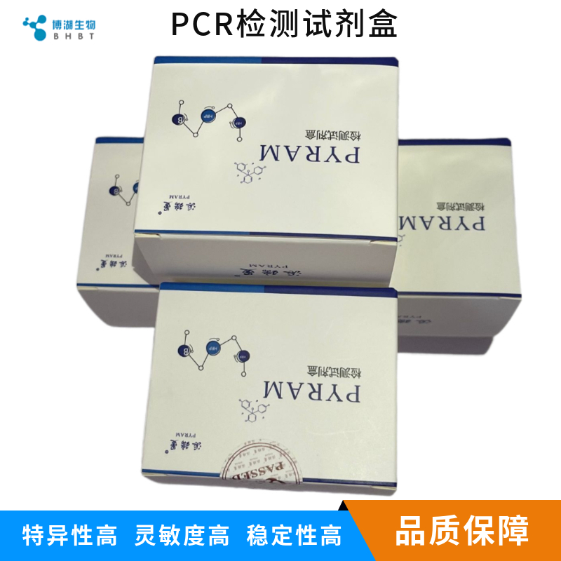 丙型肝炎病毒2型染料法荧光定量RT-PCR试剂盒