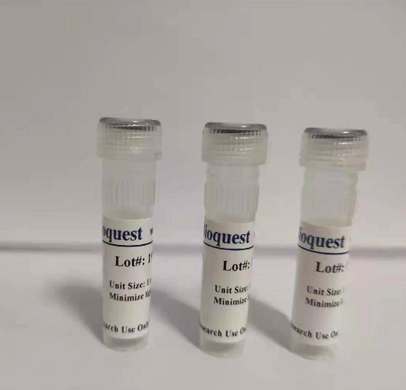 pH荧光探针Protonex NIR 770 NHS 酯