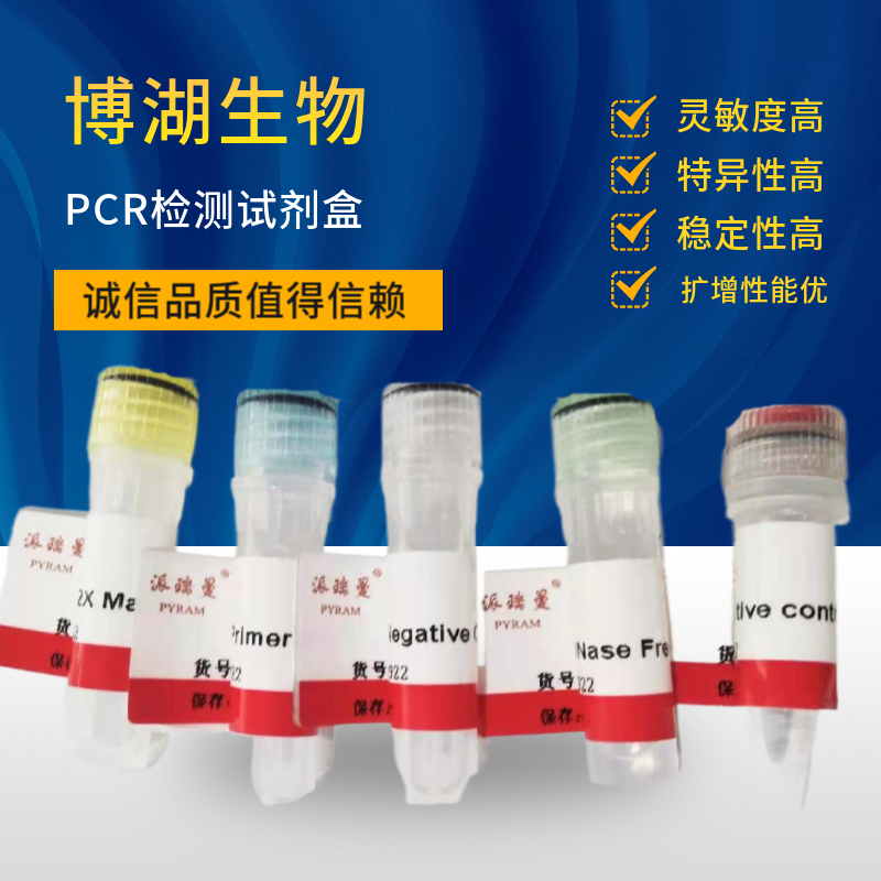 费兰杜病毒染料法荧光定量RT-PCR试剂盒