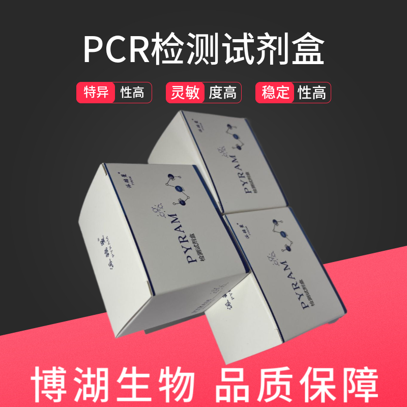 马鼻炎病毒染料法荧光定量PCR试剂盒
