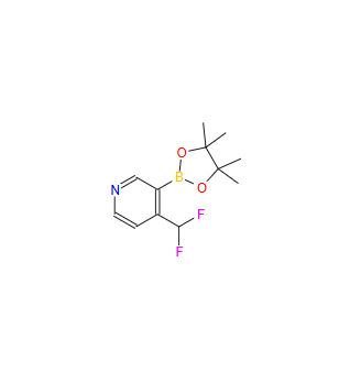 4-(二氟甲基)-3-(4,4,5,5-四甲基-1,3,2-二氧硼杂环戊烷-2-基)吡啶