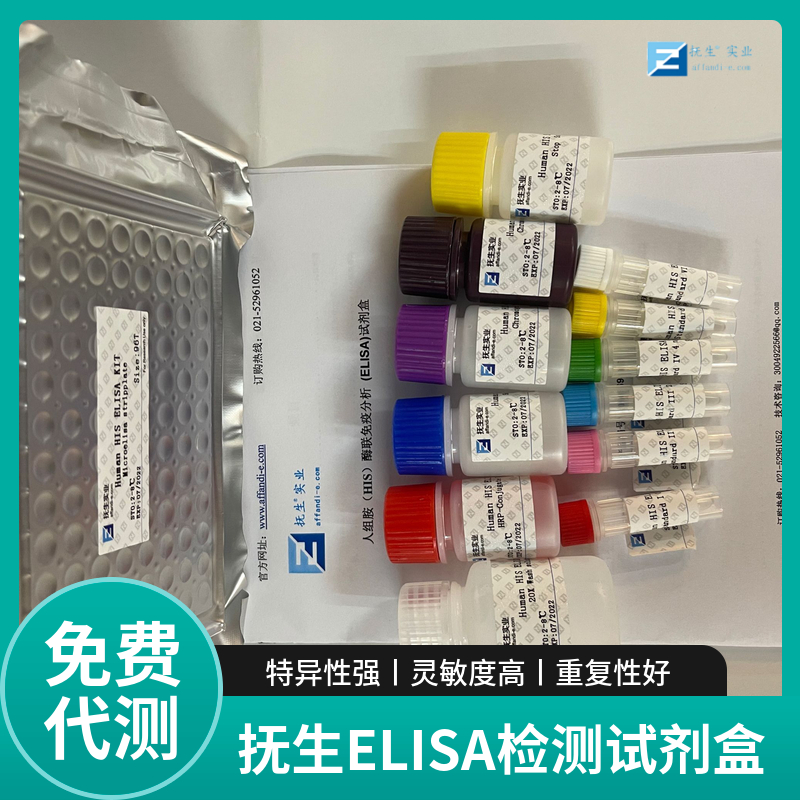 小鼠胸腺激活调节趋化因子(TARC)ELISA试剂盒