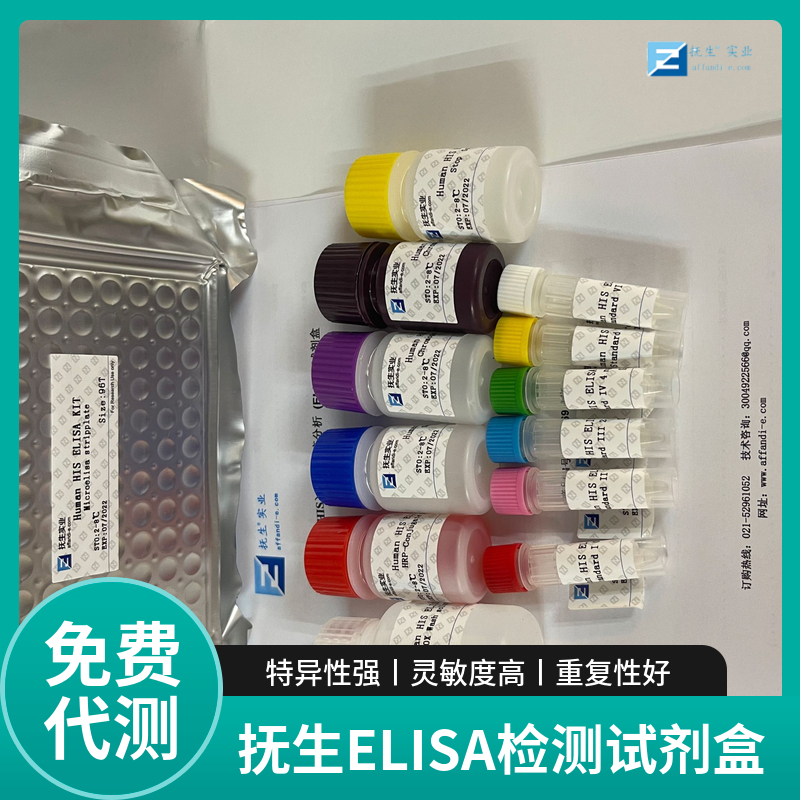 小鼠细胞色素C氧化酶亚基Ⅱ(COX2)ELISA试剂盒