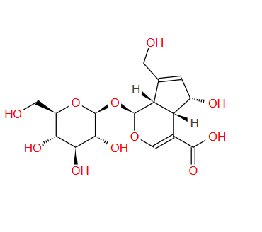 14259-55-3；去乙酰基车叶草苷酸；Deacetylasperulosidic acid