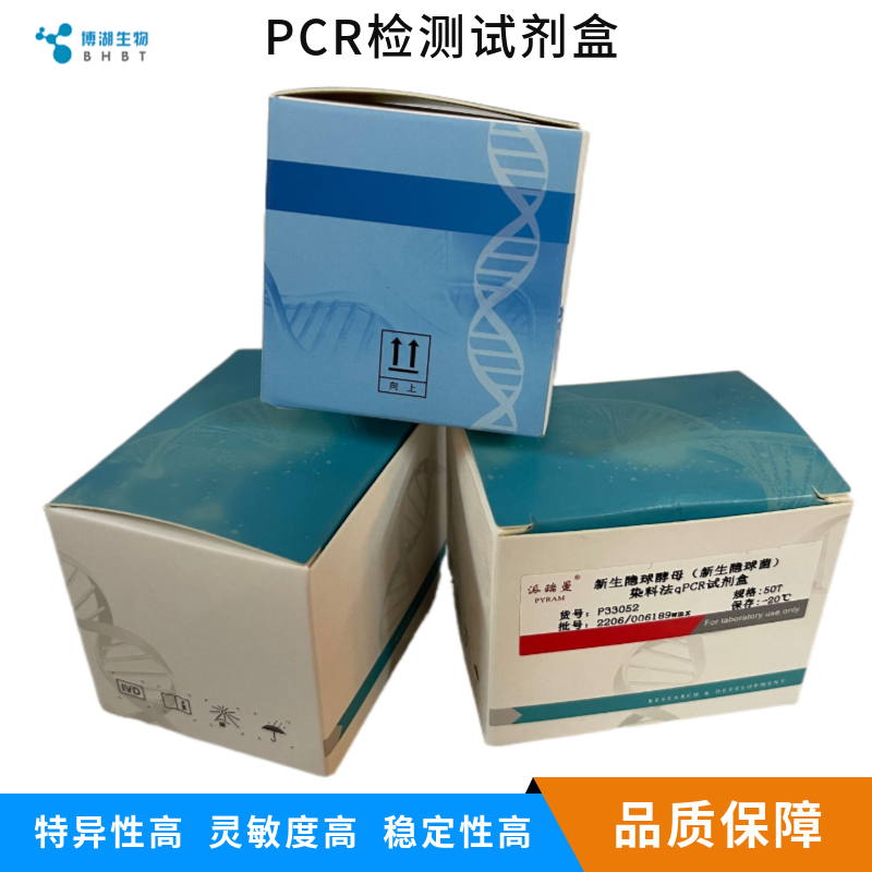 改良安卡拉痘苗病毒染料法荧光定量PCR试剂盒
