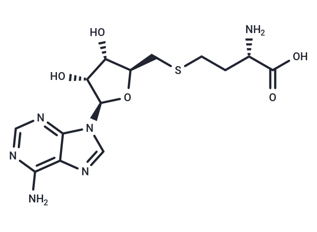 S-(5'-腺苷)-L-高半胱氨酸|TQ0208|TargetMol