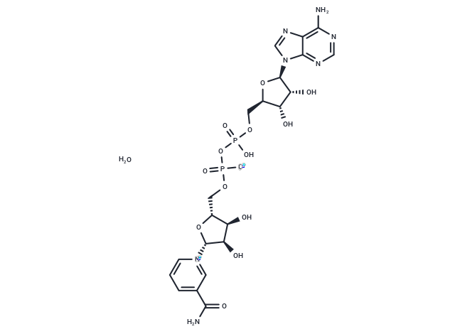 烟酰胺腺嘌呤二核苷酸|T1609|TargetMol
