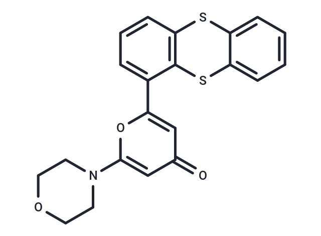 化合物 KU55933|T2685|TargetMol