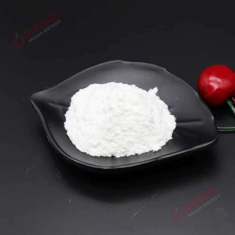 肾上腺素盐酸盐 广州